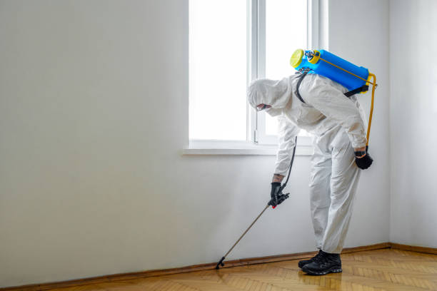 Insect Control in Sage, CA